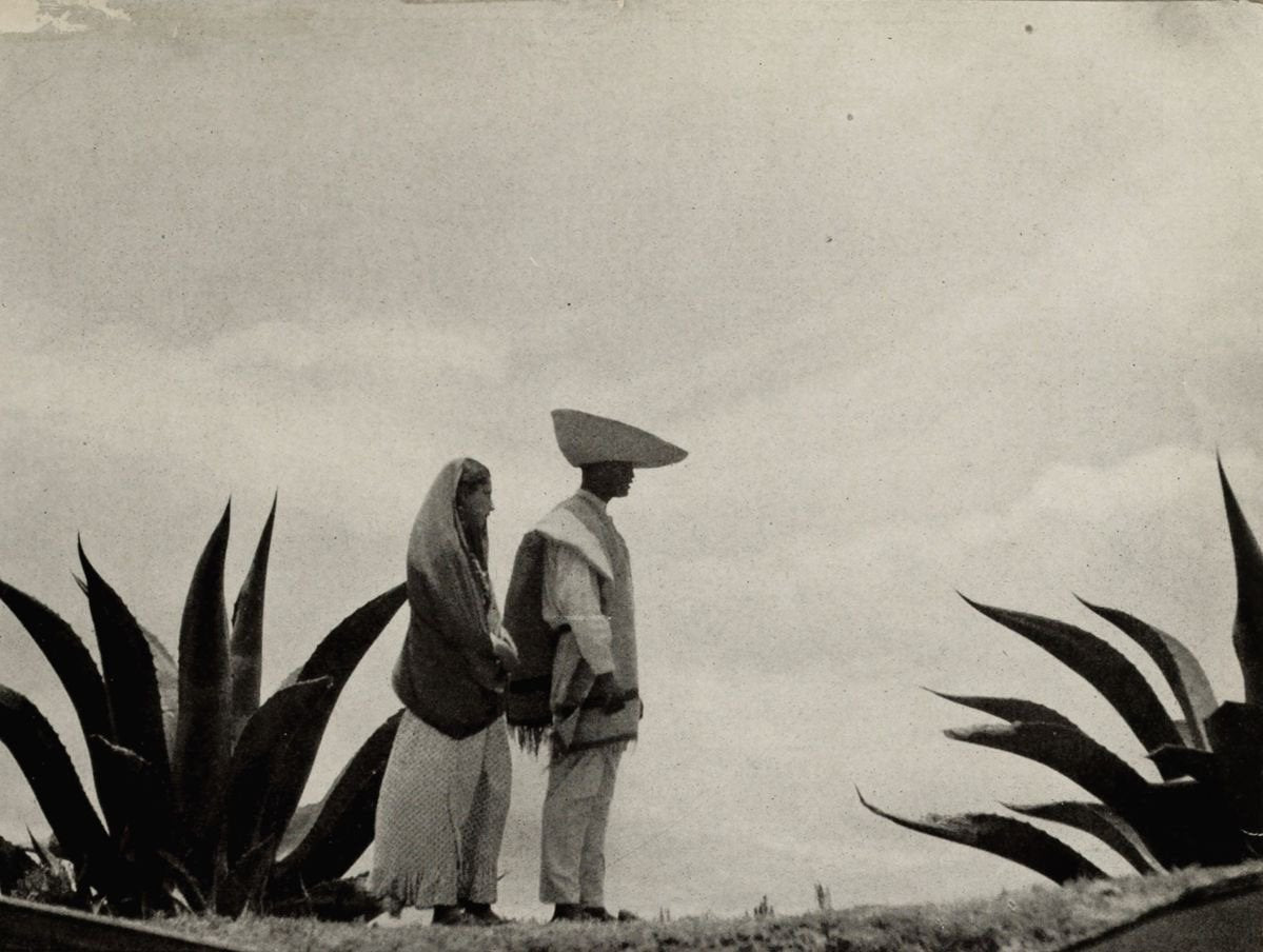 Una pareja de perfil entre magueyes