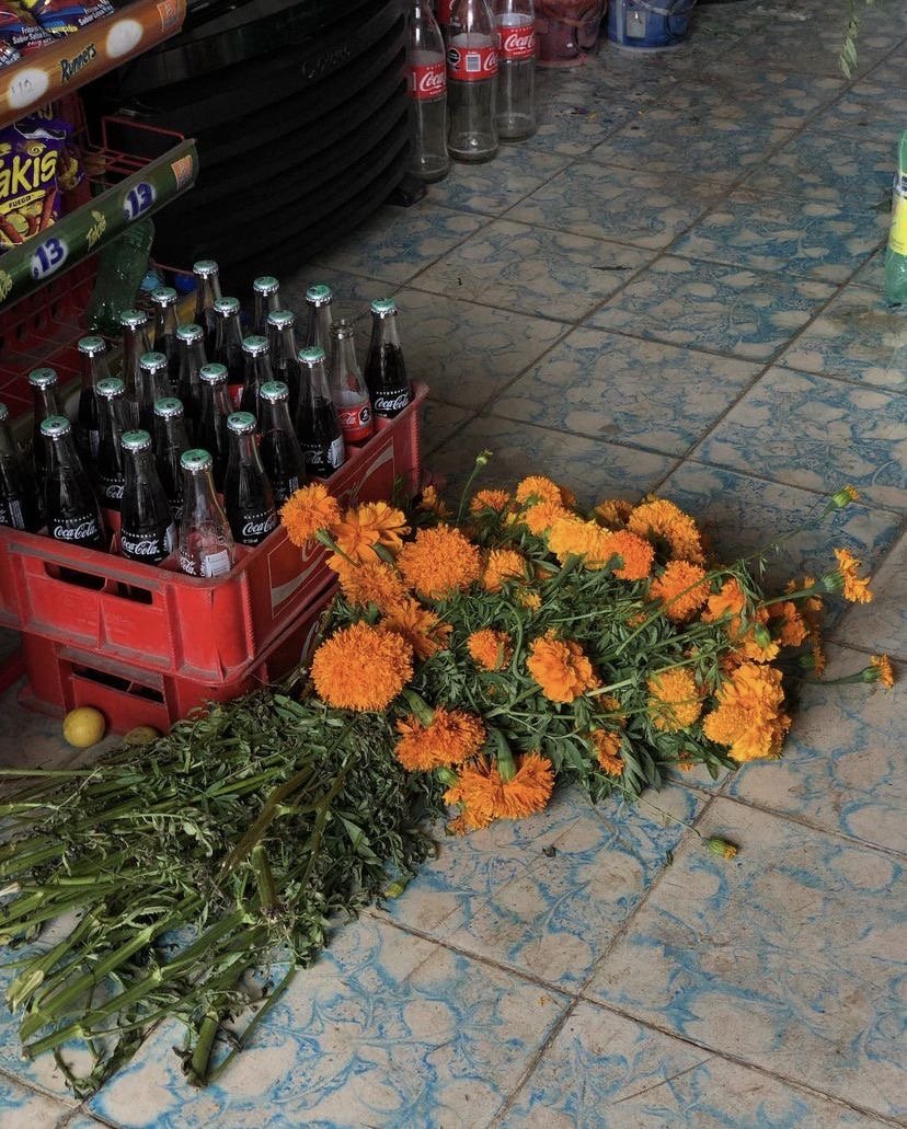 Flores de cempasúchil sobre un piso de azulejos junto a una caja de refrescos